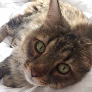 Meet your Posher, Melanie